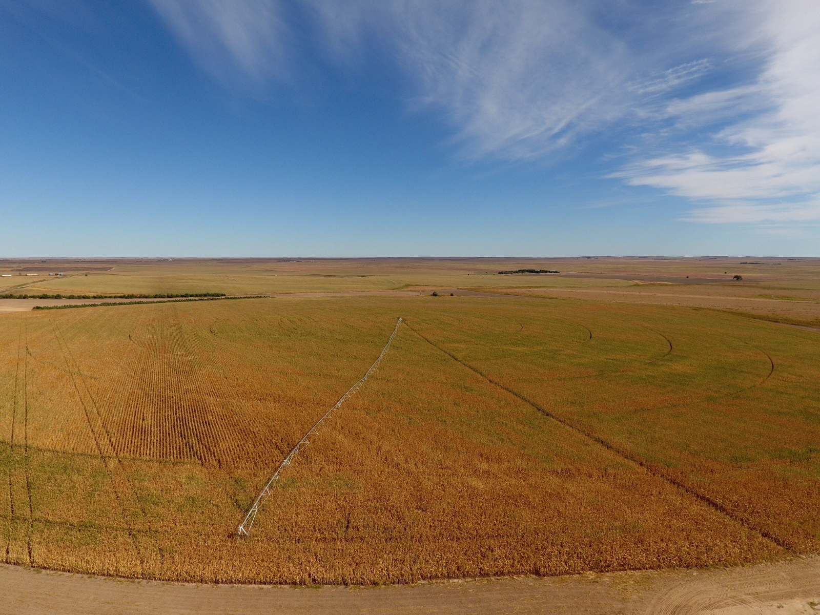 9 Pivots Hayes County Colson Agency, Inc.