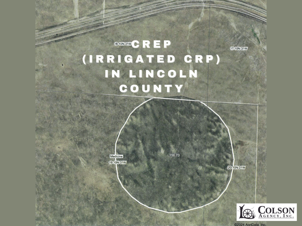 Colson Agency Inc. Imperial, Nebraska