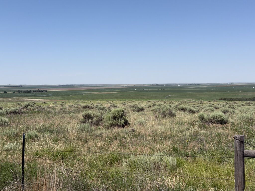 Featured Listing